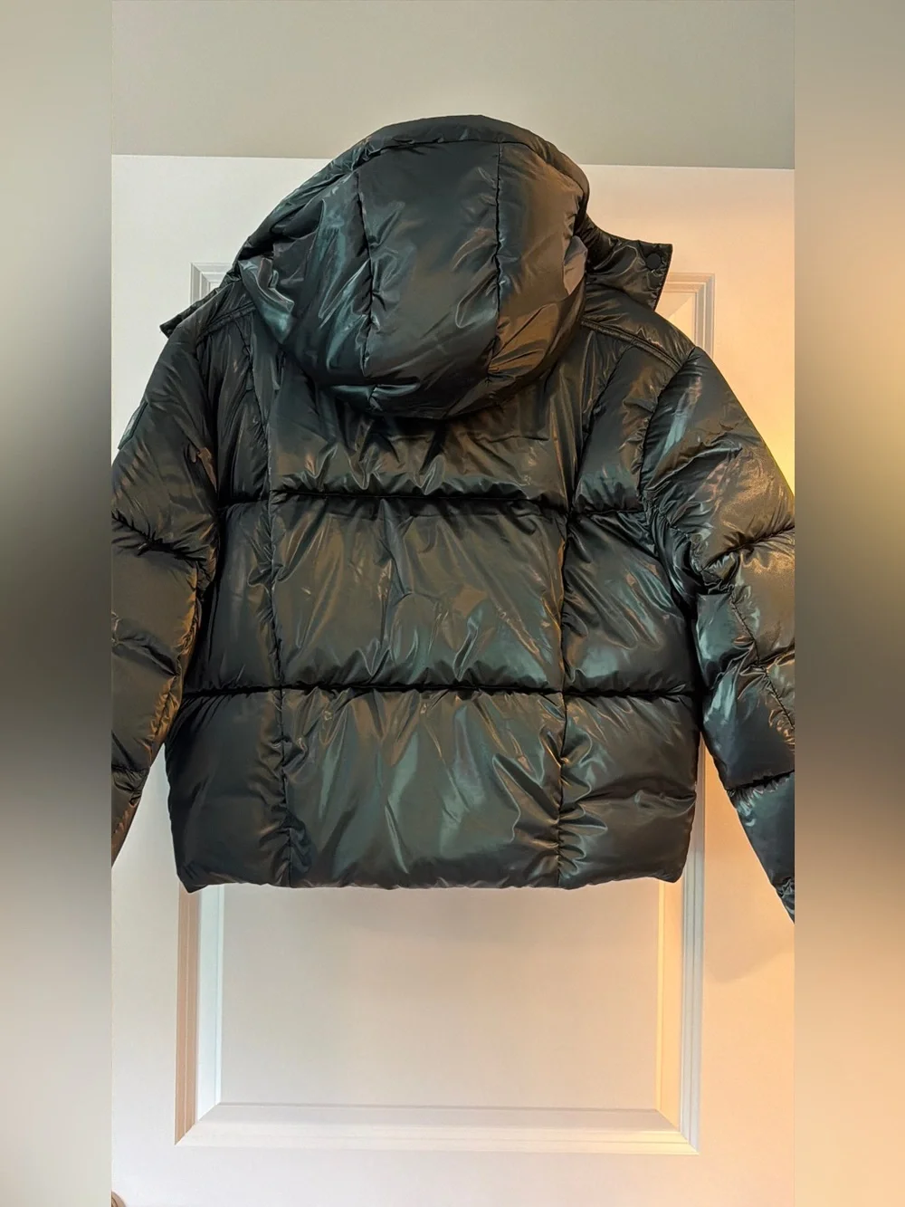 ALO Yoga Green Pearlized Pristine Puffer Jacket